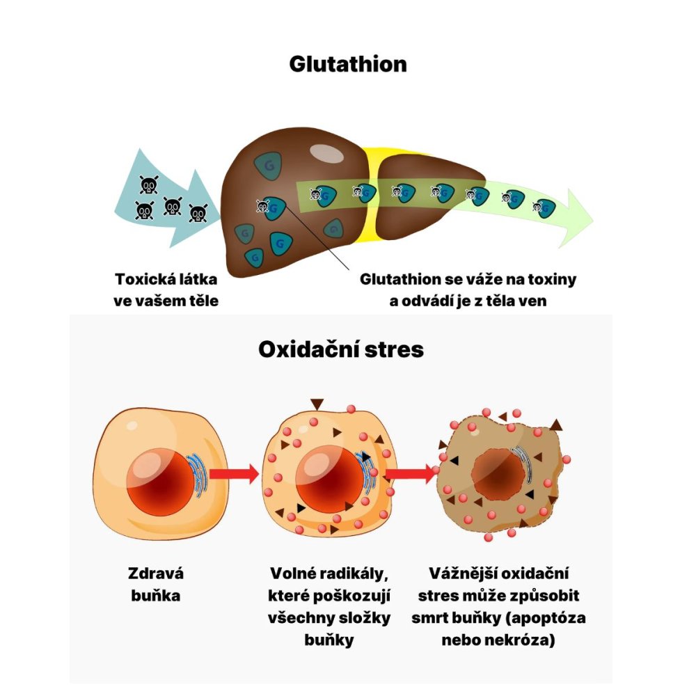 🍾 BrainMax AFTERPARTY – Bojovník za rána bez těžkých kocovin! (80 rostlinných kapslí)