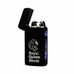 Briquet plasma RQS | Électrique, rechargeable et résistant au vent