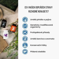 BIO Ashwagandha (Ašvaganda) 660 mg - BrainMax | 100 rastlinných kapsúl