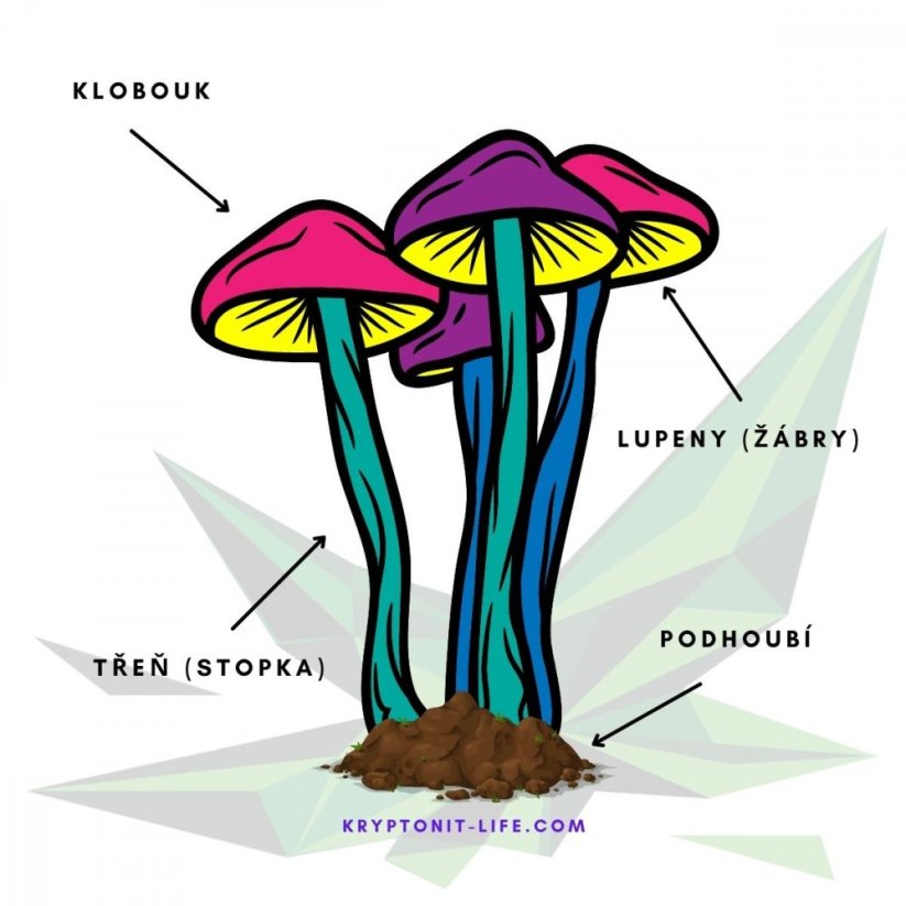 Ban Hua Thai Spory (Stříkačka) – 20 ml