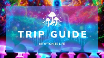 What State Can You Experience on "Magic Mushrooms" and How to Avoid or Handle a "Bad Trip"?