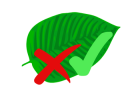 No-Kratom