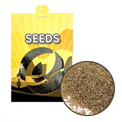 Absinthe wormwood (Artemisia absinthium) - seeds - 0.25 g