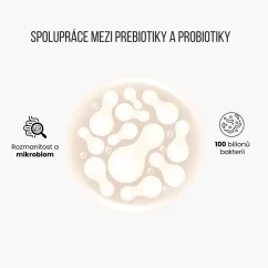 BrainMax Prebiotic Complex | BIO prebiotická směs pro trávení a zdraví střev – 100 kapslí