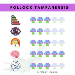 Pollock Tampanensis Spory (Lahvička) - 10 ml