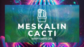 How to Legally Grow Mescaline Cacti with High Alkaloid Content