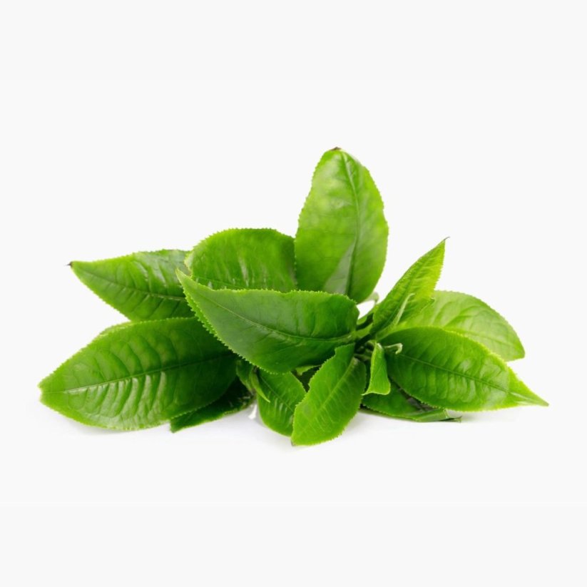 Mood Booster, komplex pro podporu nálady - BrainMax | 90 rostlinných kapslí