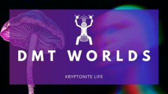 DMT: molekula jiných světů a tajemství lidského vědomí