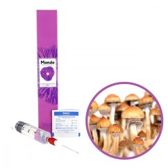 Golden Teacher Spory (Stříkačka) – 20 ml