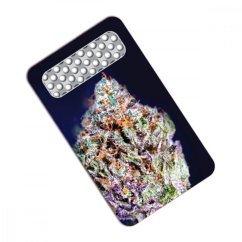 Drtící / Katrovací karta - Bubba Kush