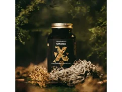 BrainMax Chaga Extrakt 500 mg | 50 % Polysaccharide & 20 % Beta-Glucane – 100 pflanzliche Kapseln