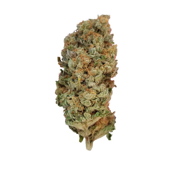 Special Queen 1 – Feminized Cannabis Seeds