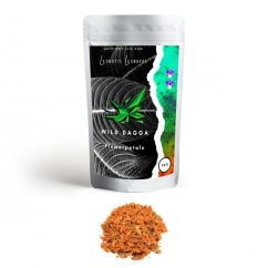 Wild dagga (Leonotis leonurus) - Crushed Flowers - 10 g