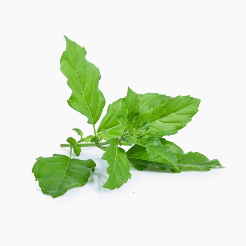 Mood Booster, komplex pro podporu nálady - BrainMax | 90 rostlinných kapslí