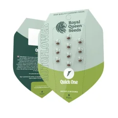 Quick One Auto – Autoflowering Cannabis Seeds
