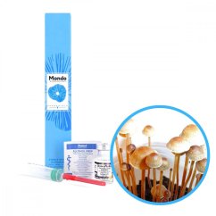 Pollock Tampanensis Sporen (Fläschchen) - 10 ml