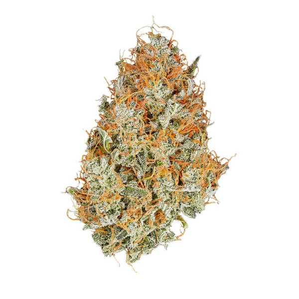 Amnesia Haze Auto – Autoflowering Cannabis Seeds