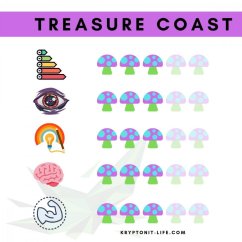 Treasure Coast Spory (Lahvička) - 10 ml