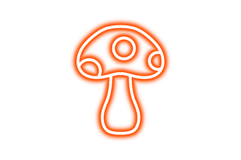 Medicinální Houby 🍄 | Reishi, Cordyceps, Lion’s Mane, Chaga