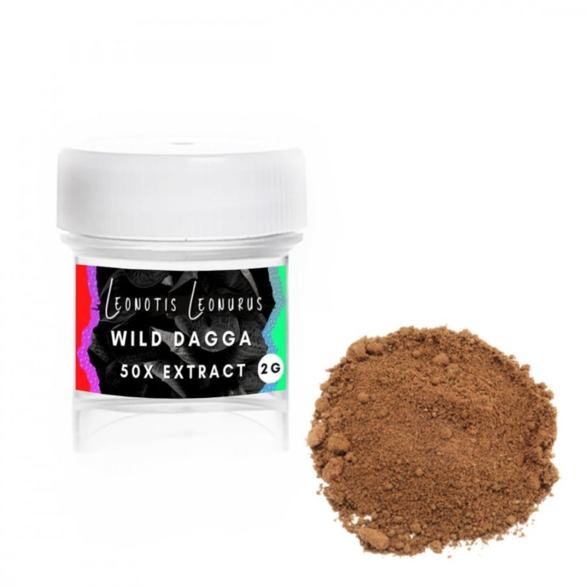 Wild dagga (Leonotis leonurus) - Extrakt 50x - 2g