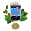 NE-KRATOM - Mitragyna Javanica - Kanna Boost