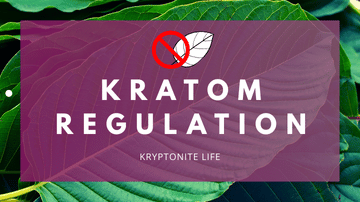 Kratom v ČR 2025–2026: nová legislativa, licence a změny trhu