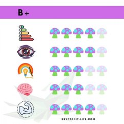 B+ Spory (Lahvička) - 10 ml