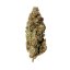 Royal Runtz – Feminizovaná cannabis semena