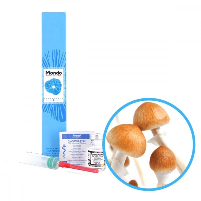 B+ Spory (Fľaštička) - 10 ml