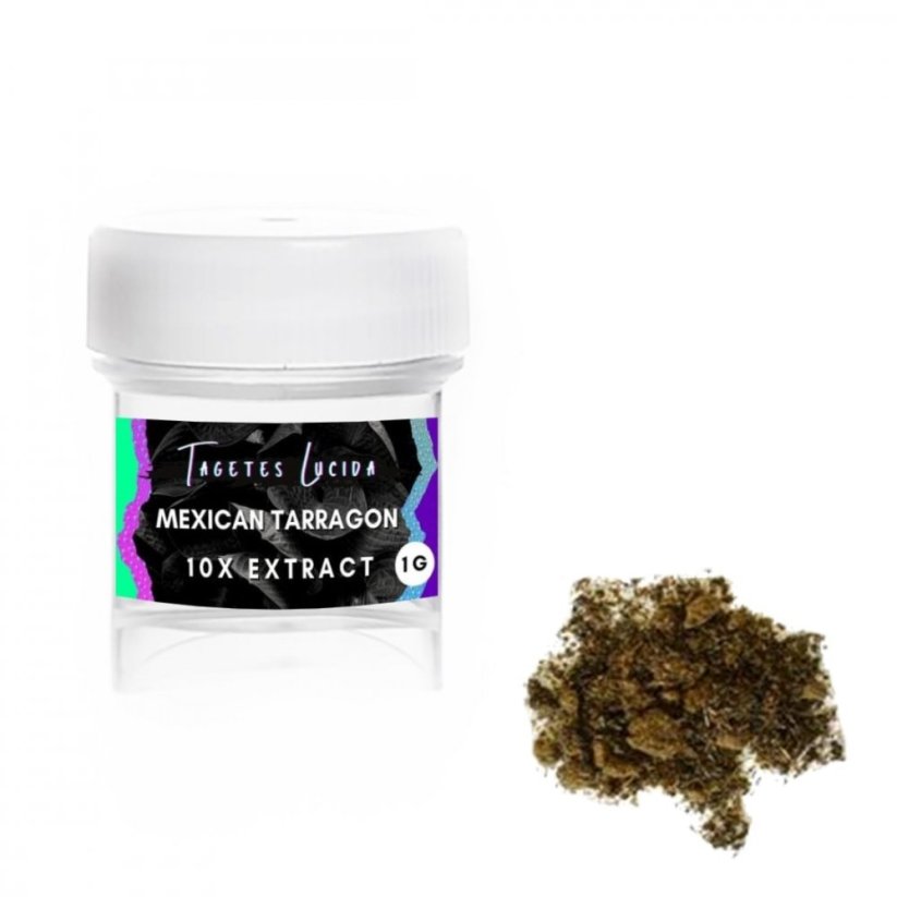 Mexican Tarragon (Tagetes Lucida) - Extrakt - 10x -1g