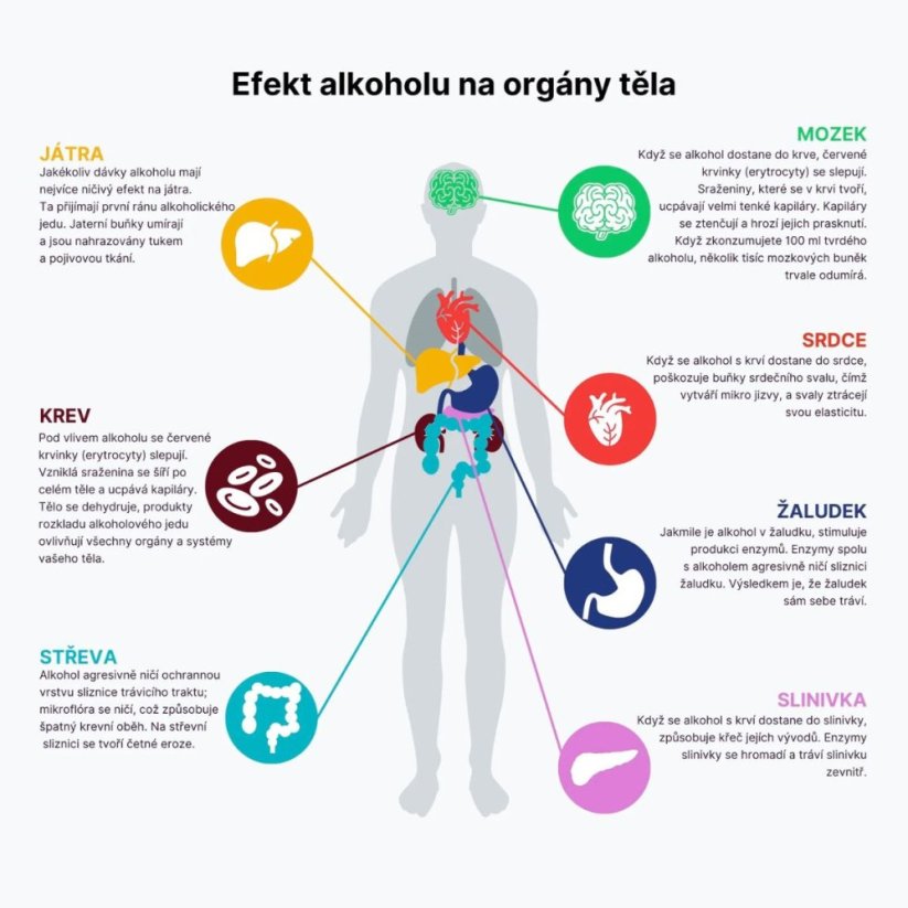 AFTERPARTY | Bojovník za rána bez těžkých kocovin! - BrainMax | 80 rostlinných kapslí