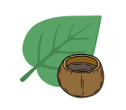Kava Kava