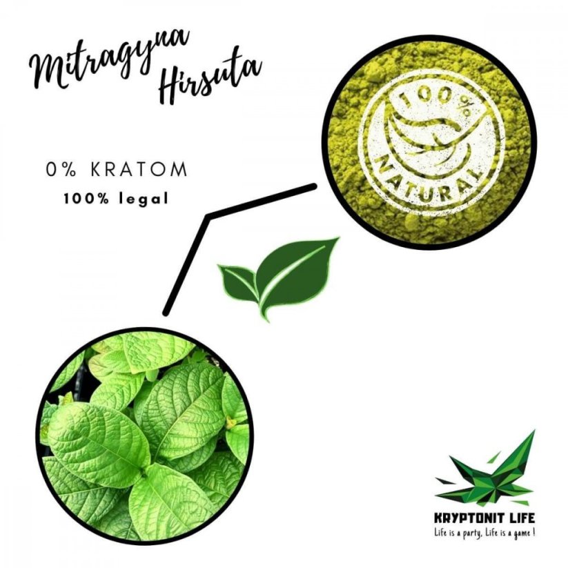 NON-KRATOM - Mitragyna Hirsuta - Boost de caféine