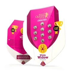 White Widow – Feminized Cannabis Seeds