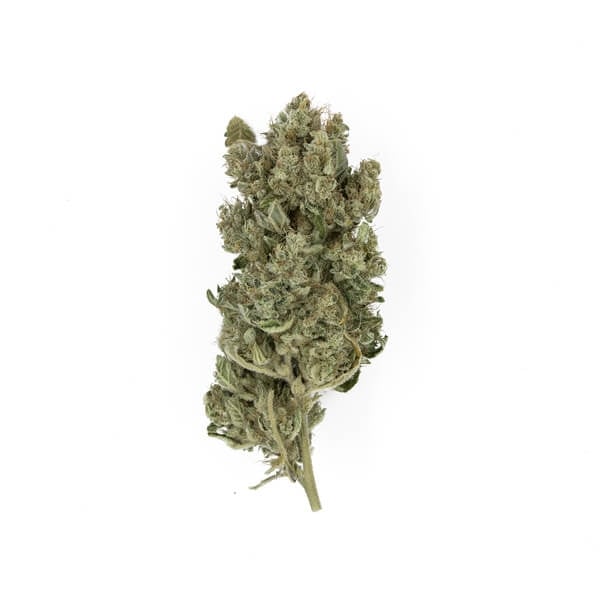 Royal Gorilla (GG4) – Feminized Cannabis Seeds