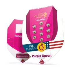 Purple Queen – Feminized Cannabis Seeds