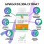 Ginkgo biloba extrakt | 90 Caps - Fit-Up