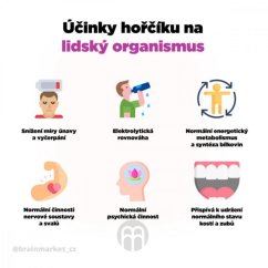 Performance Magnesium® 1000 mg - BrainMax | Hořčík 200 mg + Vitamín B6 P5P - 100 vegan kapslí