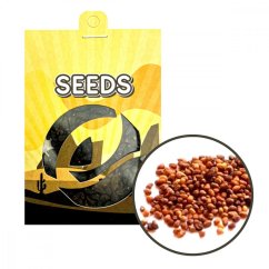 Virginia Tobacco (Nicotiana tabacum) - seeds - 20 seeds