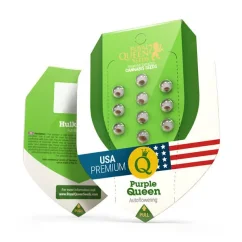 Purple Queen Auto – Autoflowering Cannabis Seeds