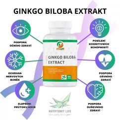 Ginkgo biloba extrakt | 90 Caps - Fit-Up