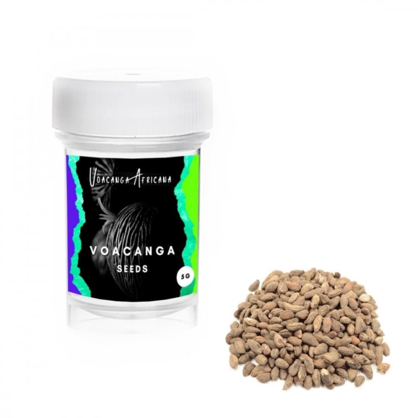 Voacanga (Voacanga africana) - semena - 5 g