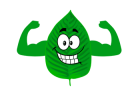 Non-Kratom Extracts