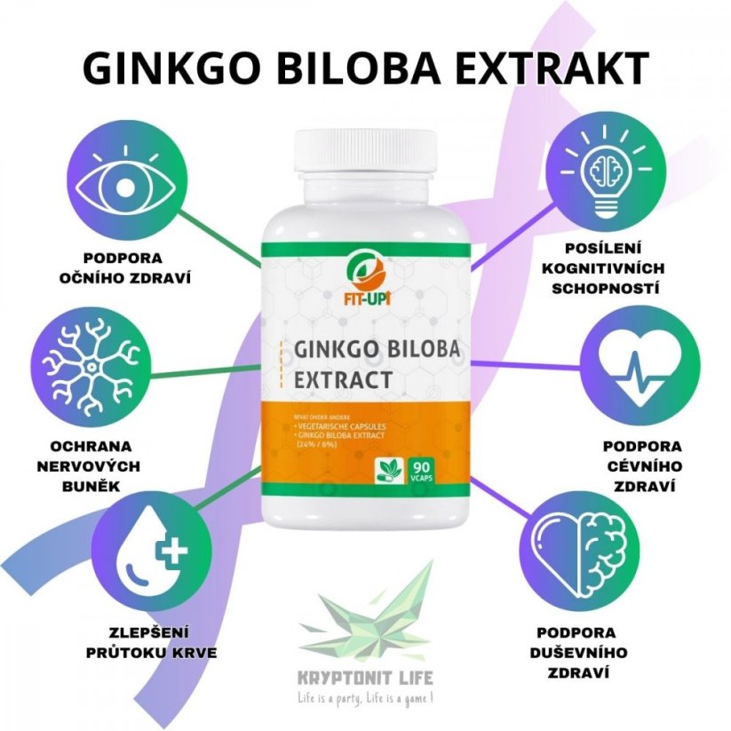Ginkgo biloba extrakt | 90 Caps - Fit-Up