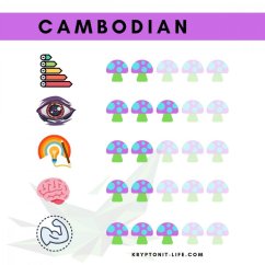 Cambodian Spory (Stříkačka) - 20 ml