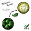 NICHT-KRATOM - Mitragyna Javanica – Koffeinschub