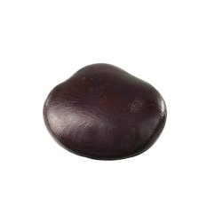 Africká bylina snů (Entada rheedii) - Semeno - 1x