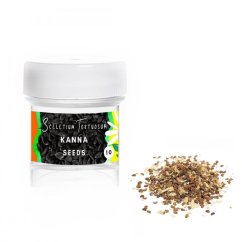 Kanna (Sceletium Tortuosum) - seeds - 10x