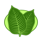 Zelený Ne-kratom