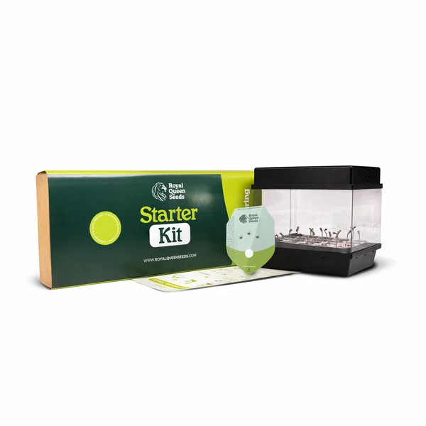 Autoflower Seed Starter Kit (Selbstblühende Starterbox)